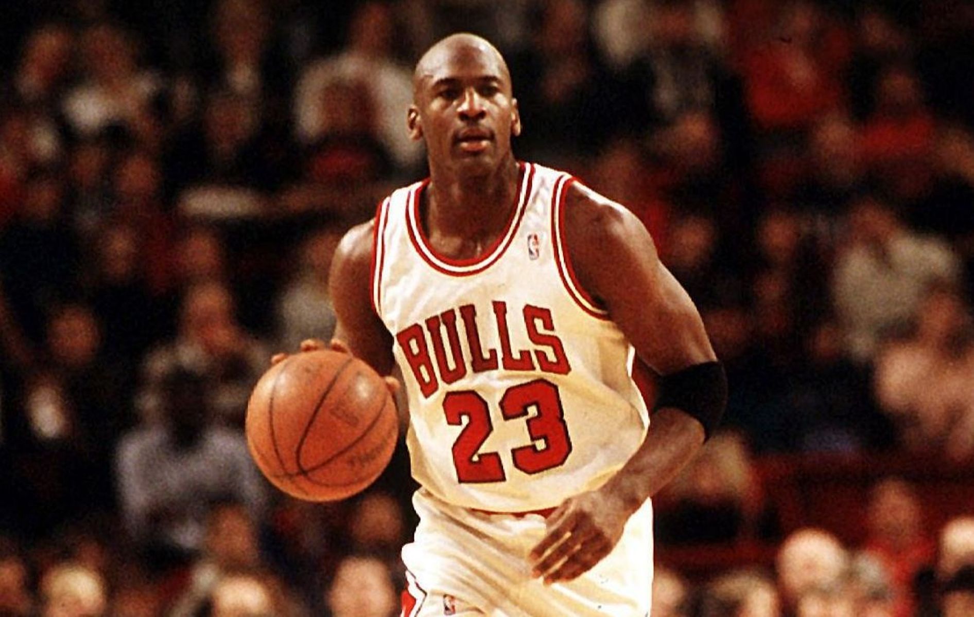 Michael-Jordan Sports Business Academy Bulls